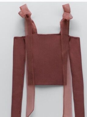Zara Dusty Rose Off-Shoulder Ribbed Organza Tie-Sleeve Crop Sweater Top Sz M